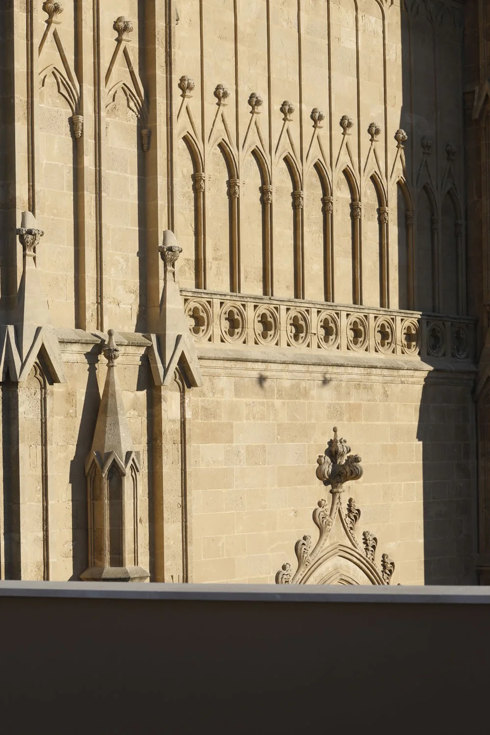 Gargoyles at the Gothic Cathedral