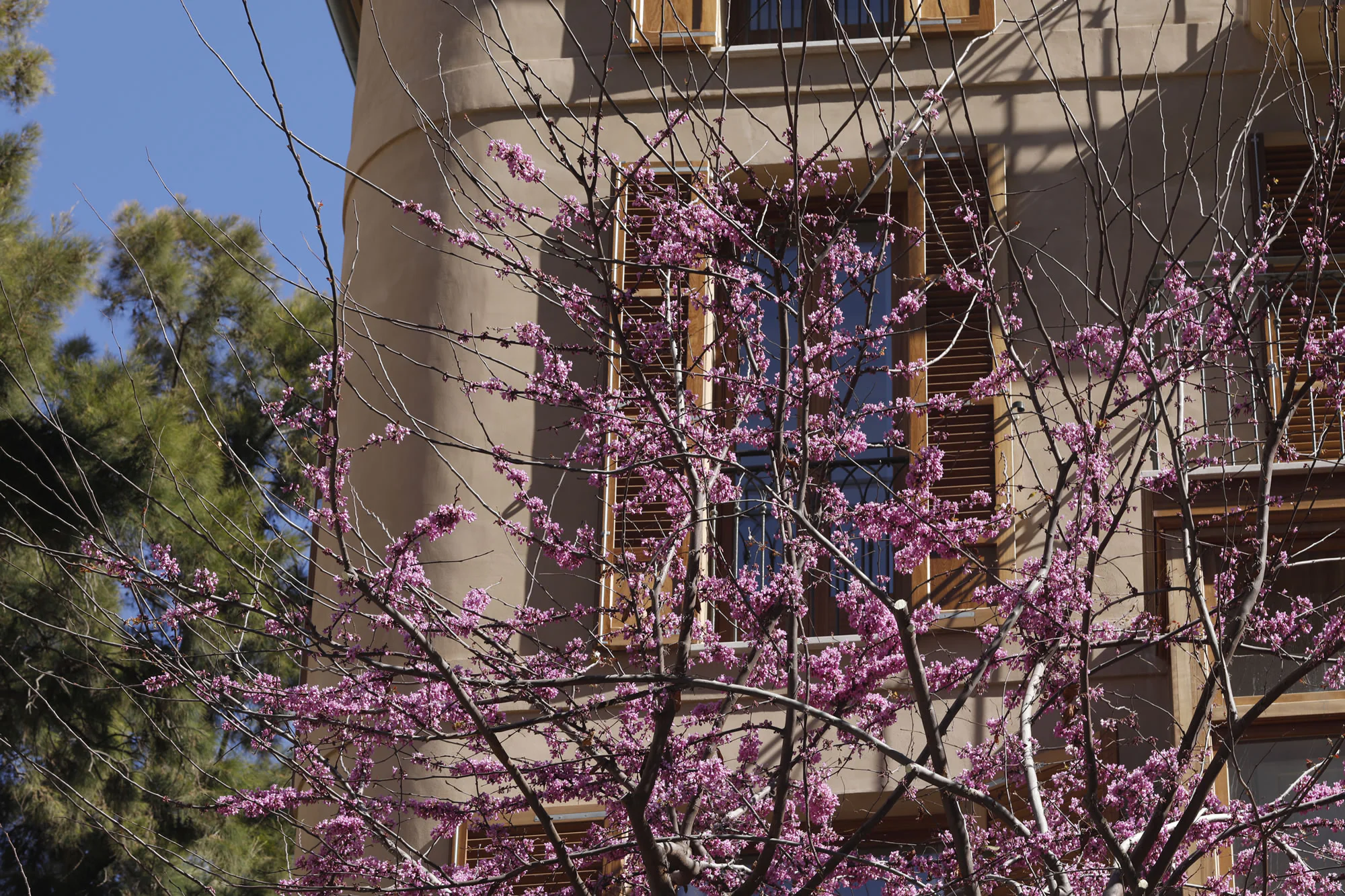 Detail of Vila d’Amunt