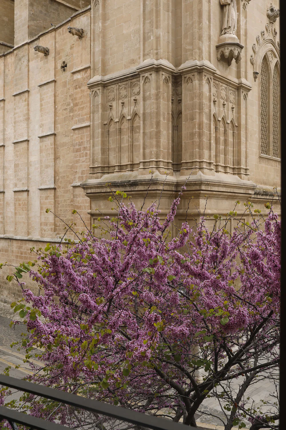 Detail of Cathedral